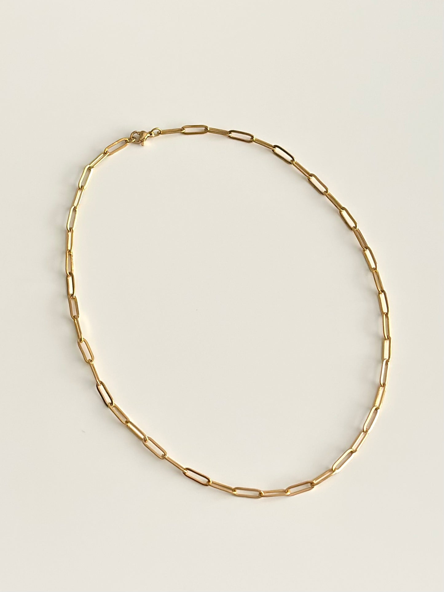 Paperclip Necklace