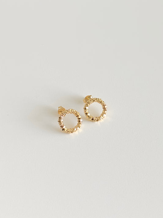 Circle Earrings