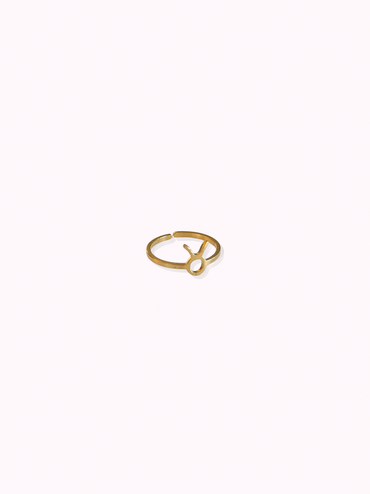 Zodiac Sign Ring