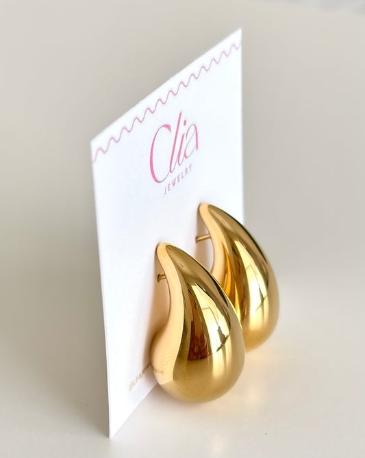 Drop Earrings