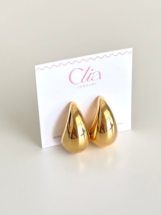 Drop Earrings