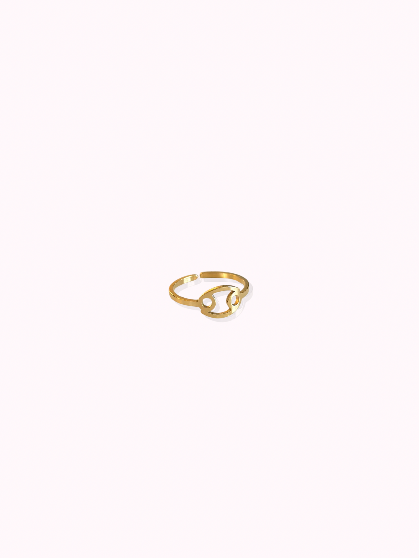 Zodiac Sign Ring