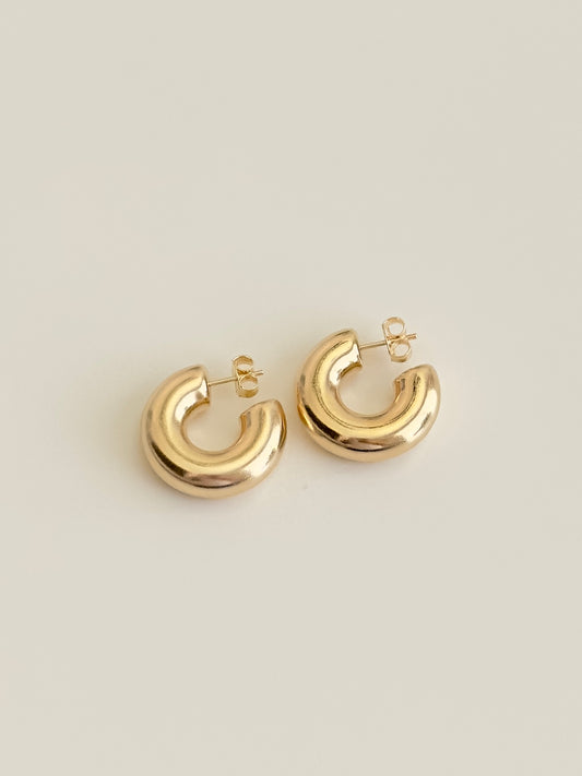 Chunky Earrings