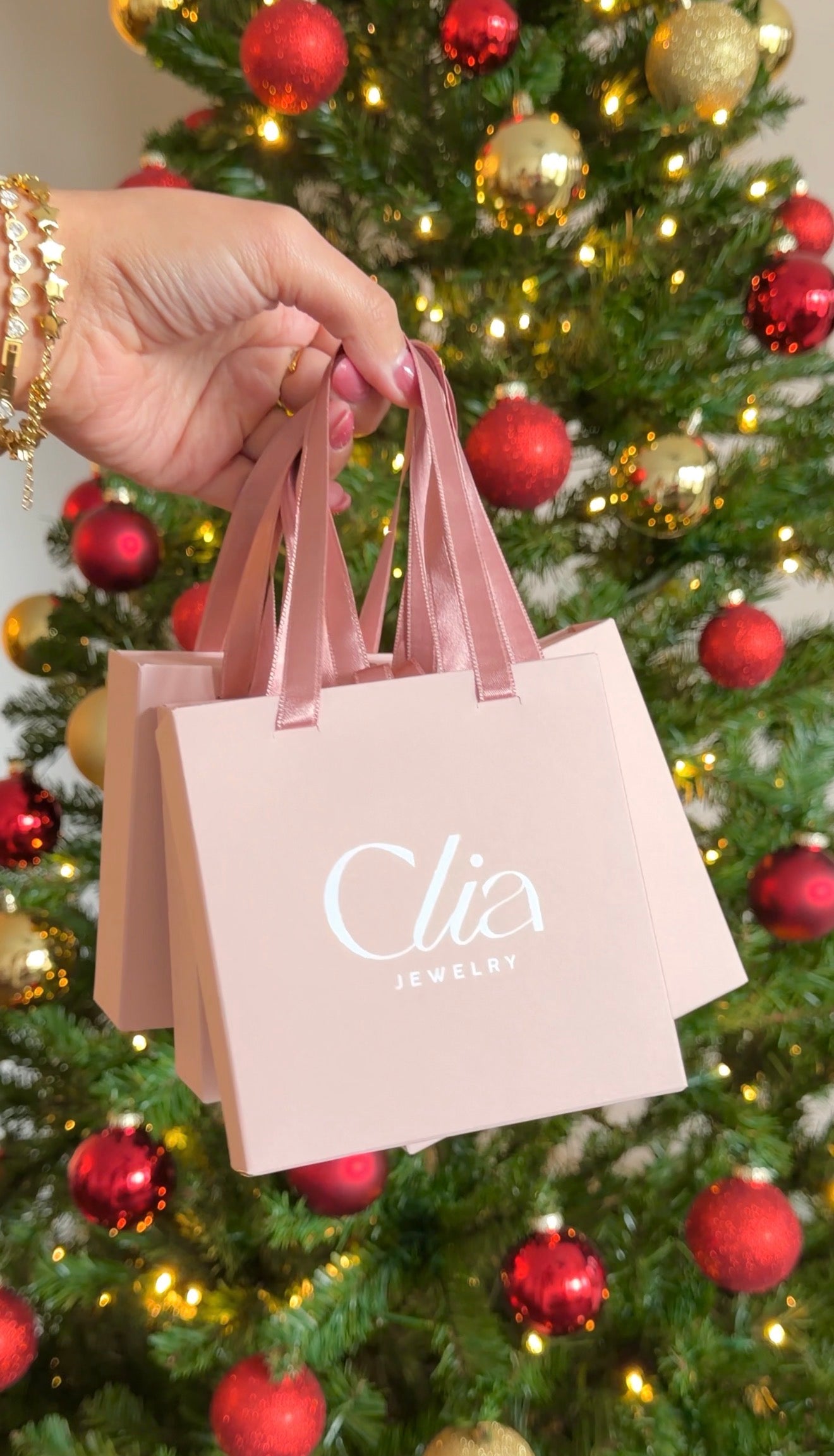 Clia Gift Bag